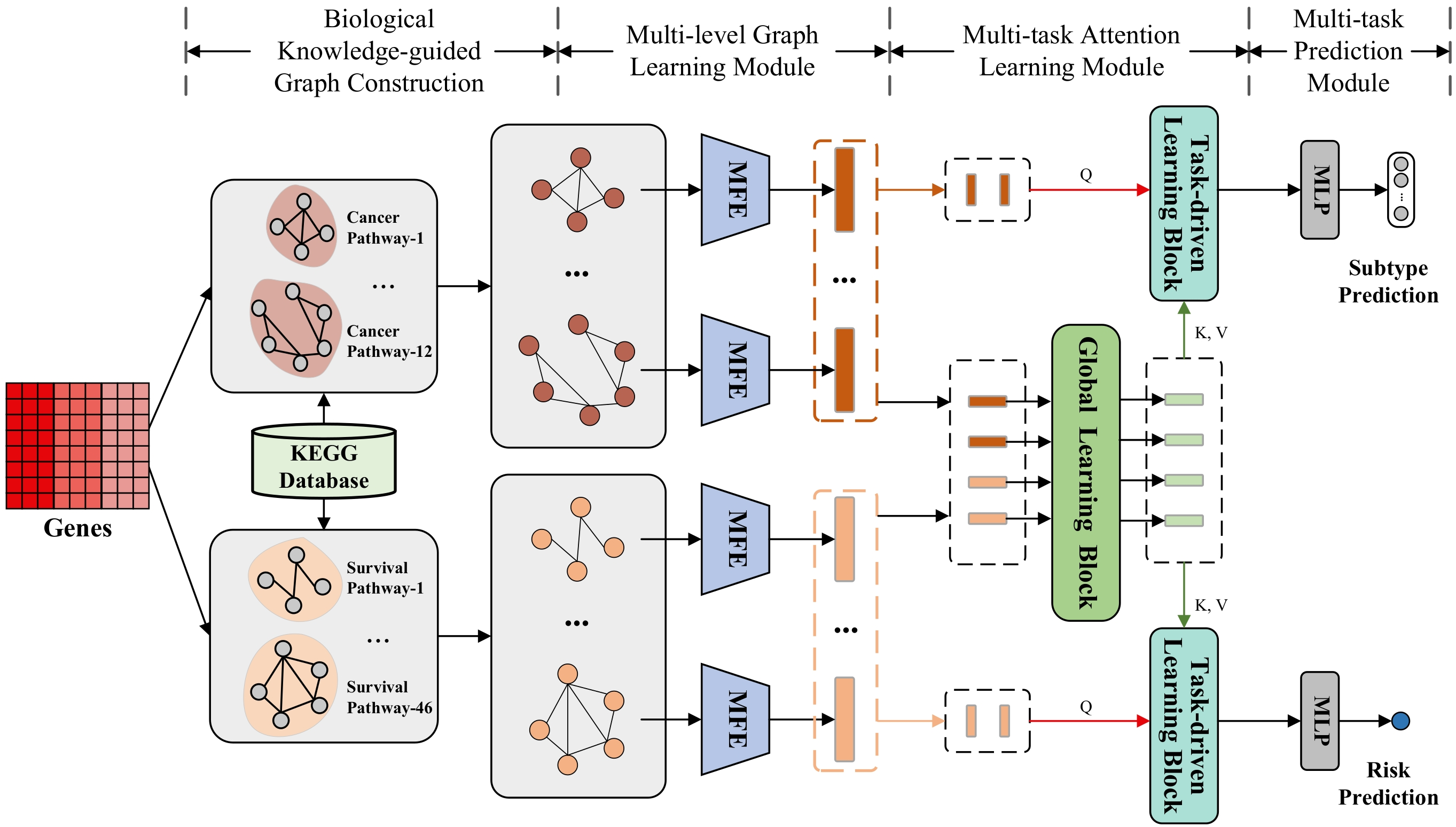 BioMTAN: A Biological Knowledge-guided Multi-task Attention Network for Co-enhanced Cancer Diagnosis and Prognosis