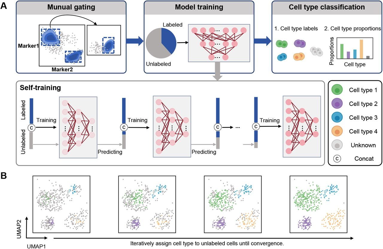 Accurate Cell Abundance Quantification using Multi-positive and Unlabeled Self-learning