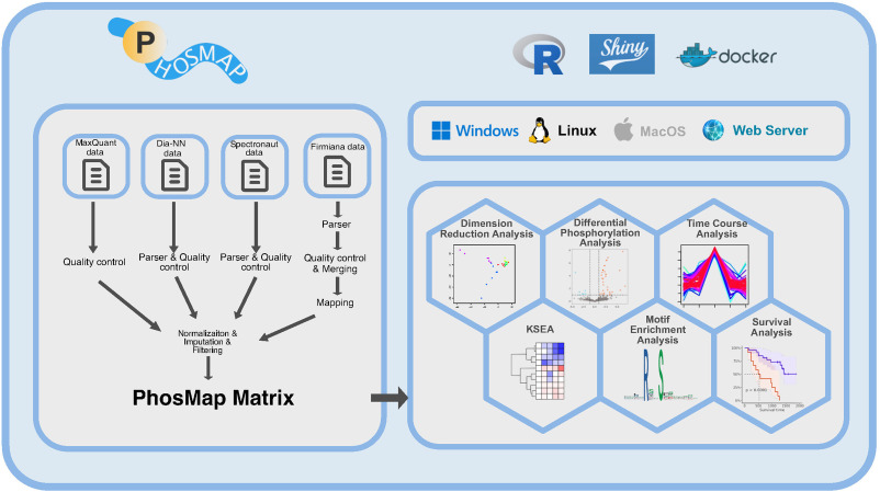 PhosMap: An ensemble bioinformatic platform to empower interactive analysis of quantitative phosphoproteomics