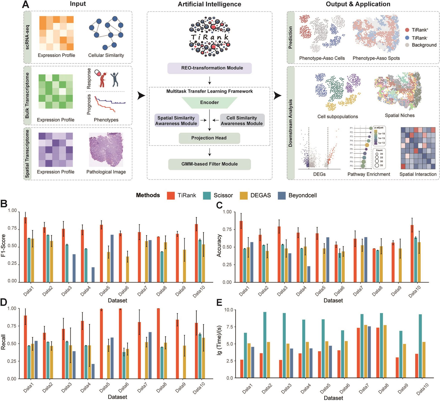 TiRank prioritizes phenotypic niches in tumor microenvironment for clinical biomarker discovery